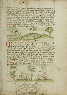 Frog Prints: A Mouse in a Wagon and a Frog Scrambling Up Steps: A Dog