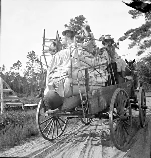 Possessions Prints: Moving day in the turpentine pine forest country