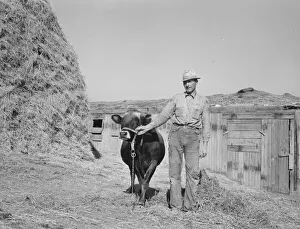 Mr. Botner with bull which he owns... Nyssa Heights, Malheur County, Oregon, 1939. Creator: Dorothea Lange