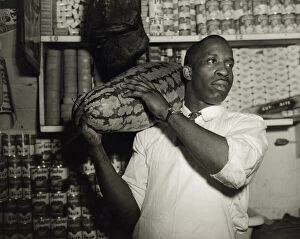 Film Negative Collection: Mr. J. Benjamin, owner of the grocery store patronized by Mrs. Ella Watson... Washington, DC, 1942