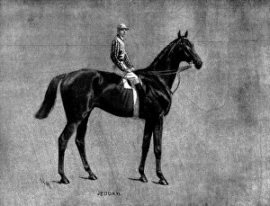 Sportsmen Prints: Mr. J. W. Larnach's Jeddah