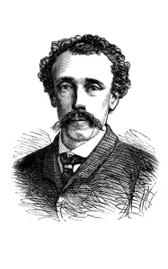 Grant Prints: Mr. J. W. W. Birch, c1880