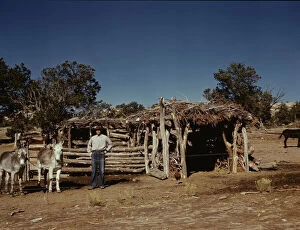 Timber Gallery: Mr. Leatherman, homesteader, with his work burros in front of his barn, Pie Town, New Mexico, 1940