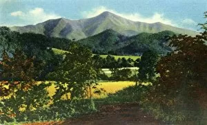 Curteich Chicago Collection: Mr. Pisgah, and the Rat in the Distance, Western North Carolina, 1942. Creator: Unknown