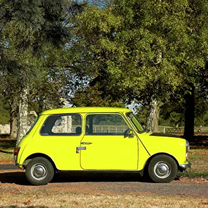 Bean Prints: Mr.Bean's Mini from the tv programme of the same name