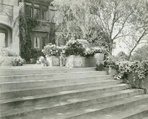 Mrs. Albert Herter, East Hampton, blue & white garden, 1913. Creators: Frances Benjamin Johnston, Johnston-Hewitt Studio. Mrs. Albert Herter, East Hampton, blue & white garden, 1913. Creators: Frances Benjamin Johnston, Johnston-Hewitt Studio