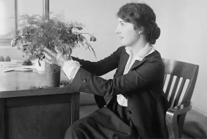 Hobbies Prints: Mrs. Earl Carroll, between c1915 and c1920. Creator: Bain News Service