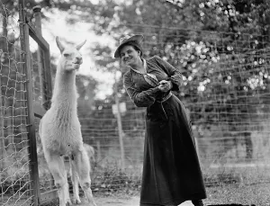 Llama Prints: Mrs. Franklin Adams, nee Harriet Chalmers