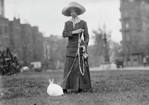 Glass Negatives Gmgpc Prints: Mrs. J.R. Band with Pet Rabbit, 1911