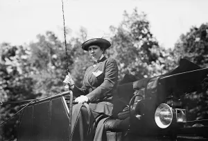Buggy Prints: Mrs. J.S. Walsh, Plainfield [in buggy]