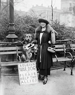 Allies Prints: Mrs. N.E. Green & Caesar, between c1915 and 1918