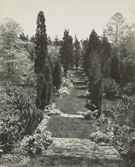 Herbaceous Border Prints: Mrs. Robert Bacon's estate Old Westbury
