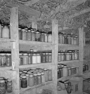 Larder Collection: Mrs. Wardlow has 500 quarts of food in her dugout cellar, Dead Ox Flat, Malheur County, Oregon