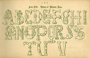 Delamotte Gallery: From MS. Library of Minerva, Rome, 1862