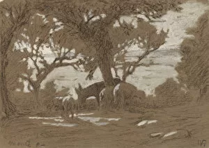 Veder Elihu Gallery: Mt. Colognola - Sheep Grazing on Lake Trasimeno, c. 1878. Creator: Elihu Vedder