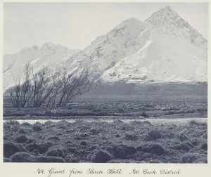 Bleak Prints: Mt Giant from Birch Hill, Mt Cook district
