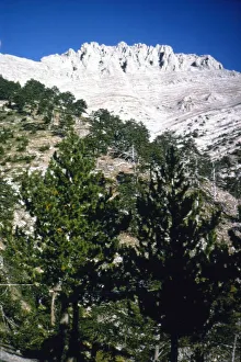 Mt Olympus, Greece, summit from the South, c20th century. Artist: CM Dixon