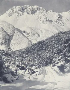 Photograph Album Prints: Mt Sebastapol, 4, 700 ft. Mt Cook District