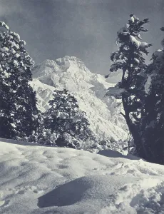 Photograph Album Prints: Mt Sefton, 10, 350 ft. Mt Cook Disctrict