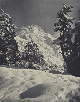 Snowy Prints: Mt Sefton, Mt Cook district, 1920s. Creator: Harry Moult