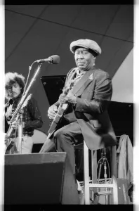 Blues Gallery: Muddy Waters, American blues musician, Capital Jazz, 1979. Artist: Brian O Connor