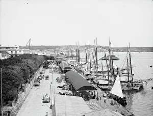 Havana Ciudad De La Habana Cuba Prints: Muelle Paula, Havana, Cuba, c1904