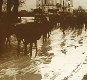 Meuse Prints: Mule train with supplies, Verdun, northern France, c1914-c1918