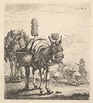 Pannier Prints: Two mules bearing panniers and outfitted with blinders, plumes, and tassels; one mu