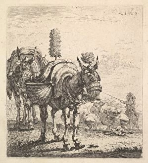 Blinkers Gallery: Two mules bearing panniers and outfitted with blinders, plumes, and tassels; one mu