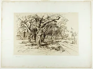 Etchings Prints: Mulford's Orchard, Easthampton, 1883. Creator: Thomas Moran