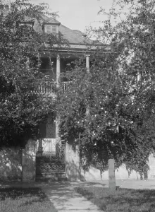Multi Storey Prints: Multi-story house behind trees