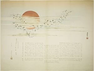 Crane Gallery: Multitudes of Cranes, spring 1863. Creator: Bokushin