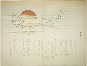 Greeting Card Prints: Multitudes of Cranes, spring 1863. Creator: Bokushin