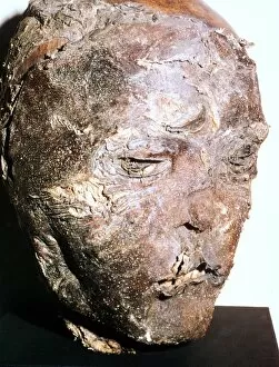 Altai Gallery: Mummified head of a Scythian chief, 5th century BC