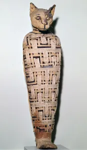 Mummy of a cat, Abydos, Upper Egypt Roman Period, perhaps 1st century Mummy of a cat, Abydos, Upper Egypt Roman Period, perhaps 1st century