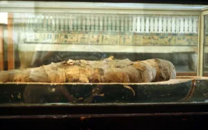 Mummification Prints: Mummy wrapped in bandages and lying on the base of a coffin, Ancient Egyptian