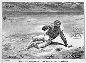 River Niger Prints: Mungo Park encouraged by the sight of a little flower, (19th century). Artist: JM Corner