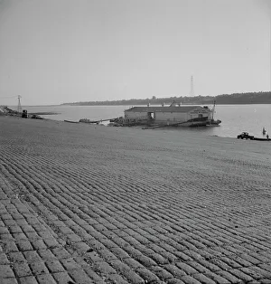 Mississippi United States Of America Prints: The municipal levee at Greenville, Mississippi, 1937. Creator: Dorothea Lange