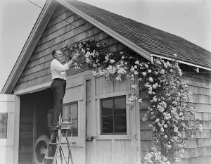 Garage Prints: Murray, between c1915 and c1920. Creator: Bain News Service