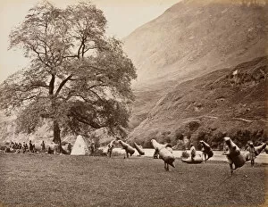 Animal Hide Gallery: Mussucks for Crossing the Beas River Below Bajoura, 1866. Creator: Samuel Bourne