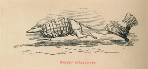 Towing Prints: Mutual attachment, 1852. Artist: John Leech