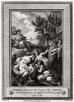Adonis Collection: Myrrha, retired into the Country of the Sabeans, is delivered of Adonis... 1775. Artist: W Walker