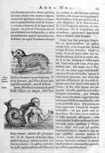 Jean Claude Prints: Mythical creatures, 1675. Artist: Athanasius Kircher