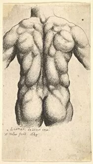 Buttocks Gallery: Naked male torso seen from behind, 1645. Creator: Wenceslaus Hollar