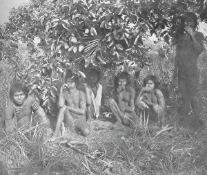 William Heinemann Ltd Collection: Nambikwara Indians of the State of Matto Grosso, pacified by Colonel Rondon, but not yet fully dr