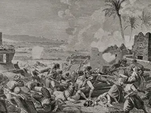 Palm Trees Prints: Napoleonic Wars: French Invasion of Egypt