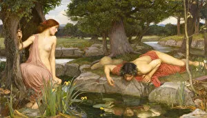 John William 1849 1917 Gallery: Narcissus and Echo