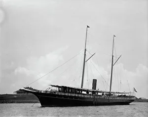 Johnston Js Prints: Narwhal, 1895 Aug 4. Creator: Johns Johnston