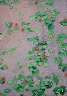 Nasturtiums Prints: Nasturtiums, c1892. Creator: Caillebotte, Gustave (1848-1894)