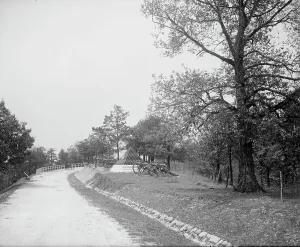 Tennessee United States Prints: National Boulevard and Cannonball Monument